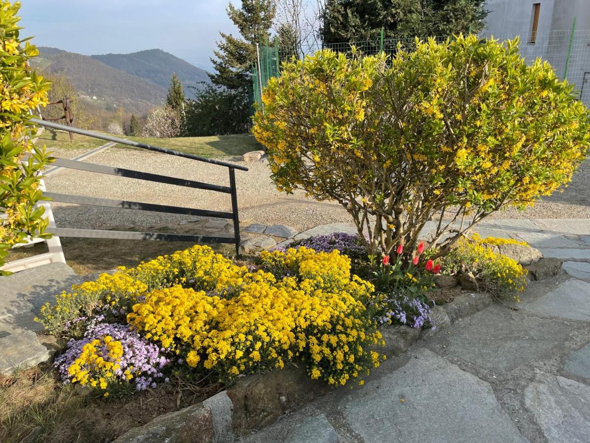 Camere Villa Lunardini Frassinetto  Екстериор снимка